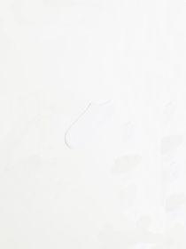 Носки H&M модель 79450 Фото