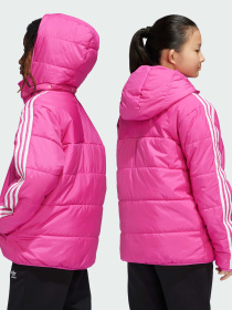 Ветровка Adidas Adicolor модель IY7496 Фото