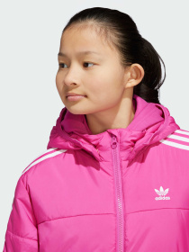 Ветровка Adidas Adicolor модель IY7496 Фото