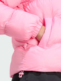 Демисезонная куртка Adidas модель JX2946 Фото