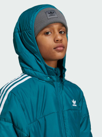 Ветровка Adidas Adicolor модель IY7495 Фото