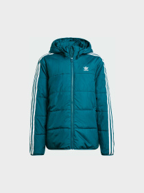 Ветровка Adidas Adicolor модель IY7495 Фото