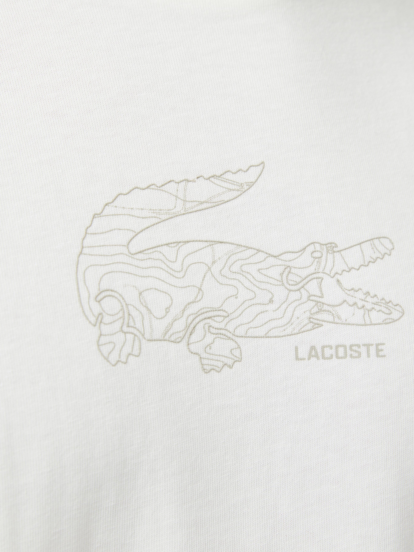 Футболка Lacoste модель TH261070V Фото