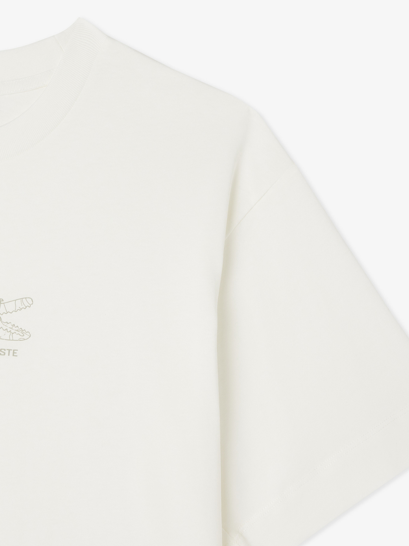 Футболка Lacoste модель TH261070V Фото