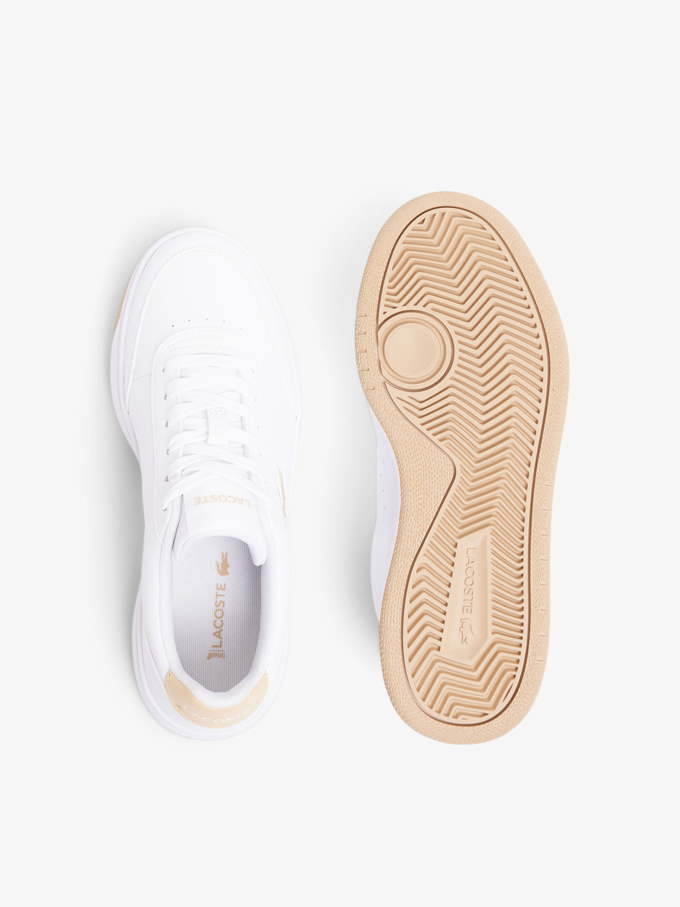 Кросівки Lacoste модель 750SFA007083J Фото