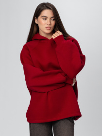 Худі HD-15 модель HD-15_05 Фото