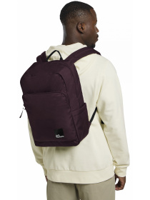 Повсякденний рюкзак Jack Wolfskin Terraview модель A64867_I0116 Повсякденний рюкзак Jack Wolfskin Terraview модель A64867_I0116 Фото