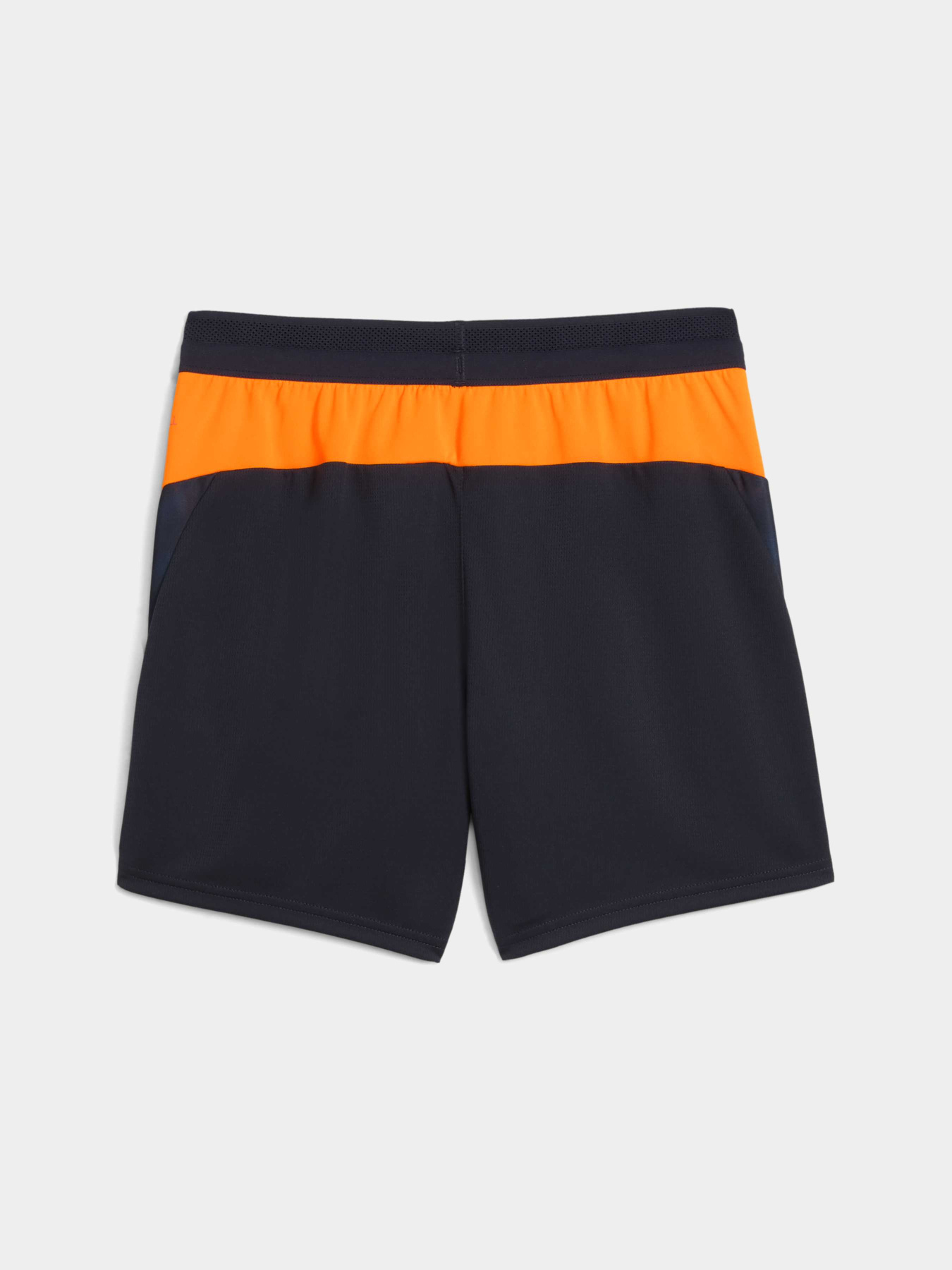 Шорты спортивные PUMA Individualcup Trg Shorts Jr модель 660249 Фото
