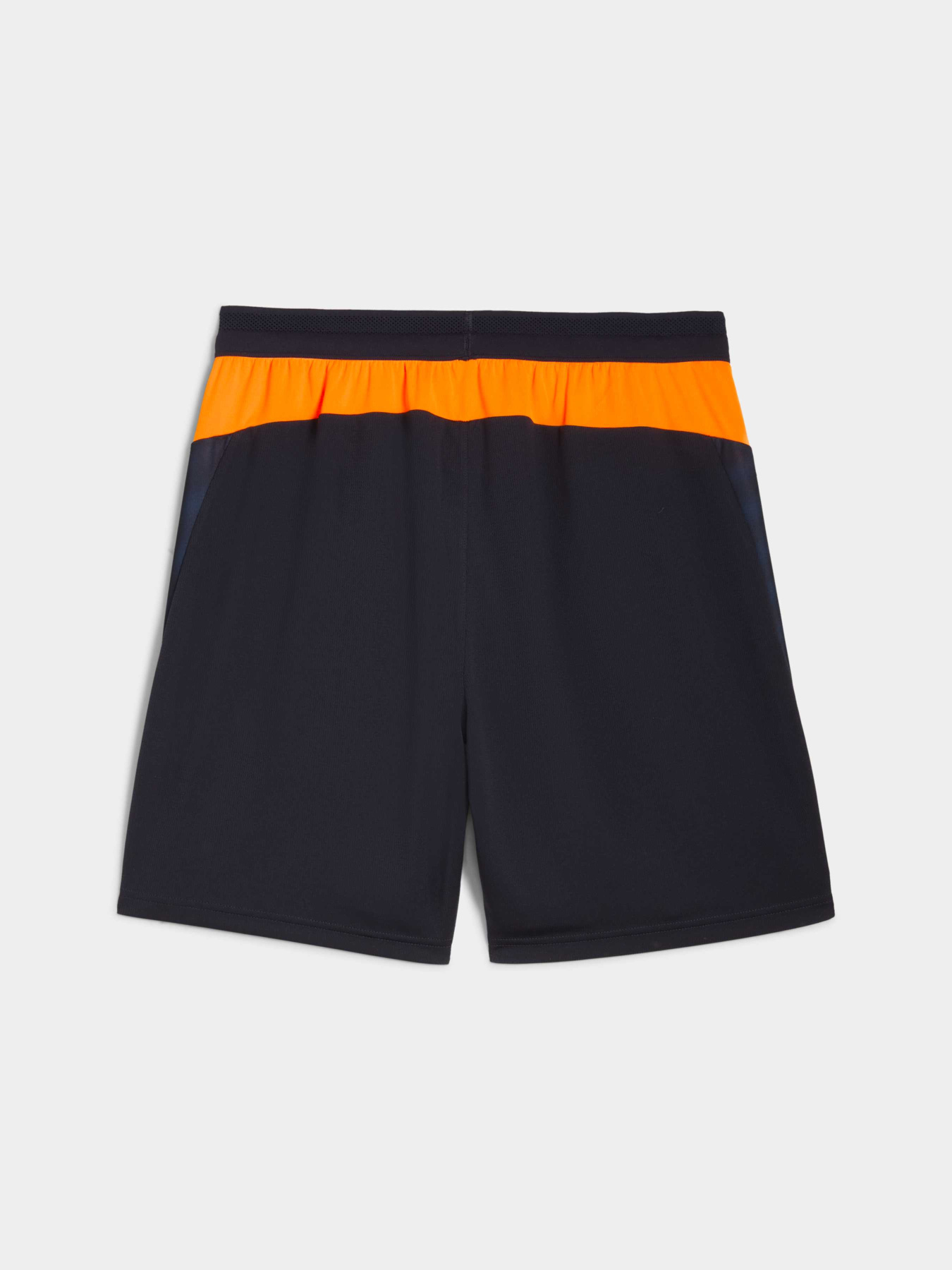 Шорты спортивные PUMA Individualcup Trg Shorts модель 660248 Фото