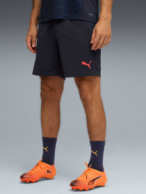 Шорты спортивные PUMA Individualcup Trg Shorts модель 660248 Фото