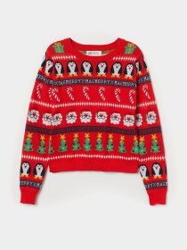 Свитер H&M модель 7499510kwer_Красный Фото