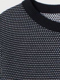 Светр H&M модель 7083469wer_Сине-белый Фото