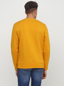 Світшот H&M модель 6233367RP2_горчичный Фото