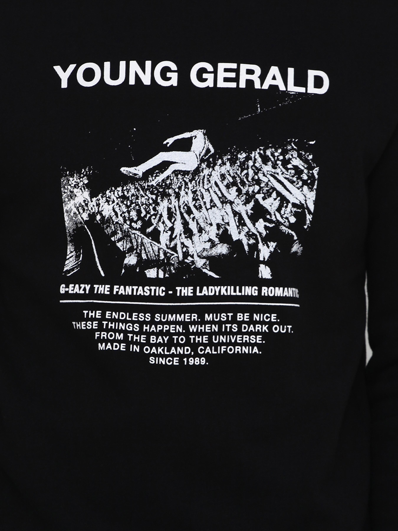 Світшот H&M модель 6233367RP2_черный Фото