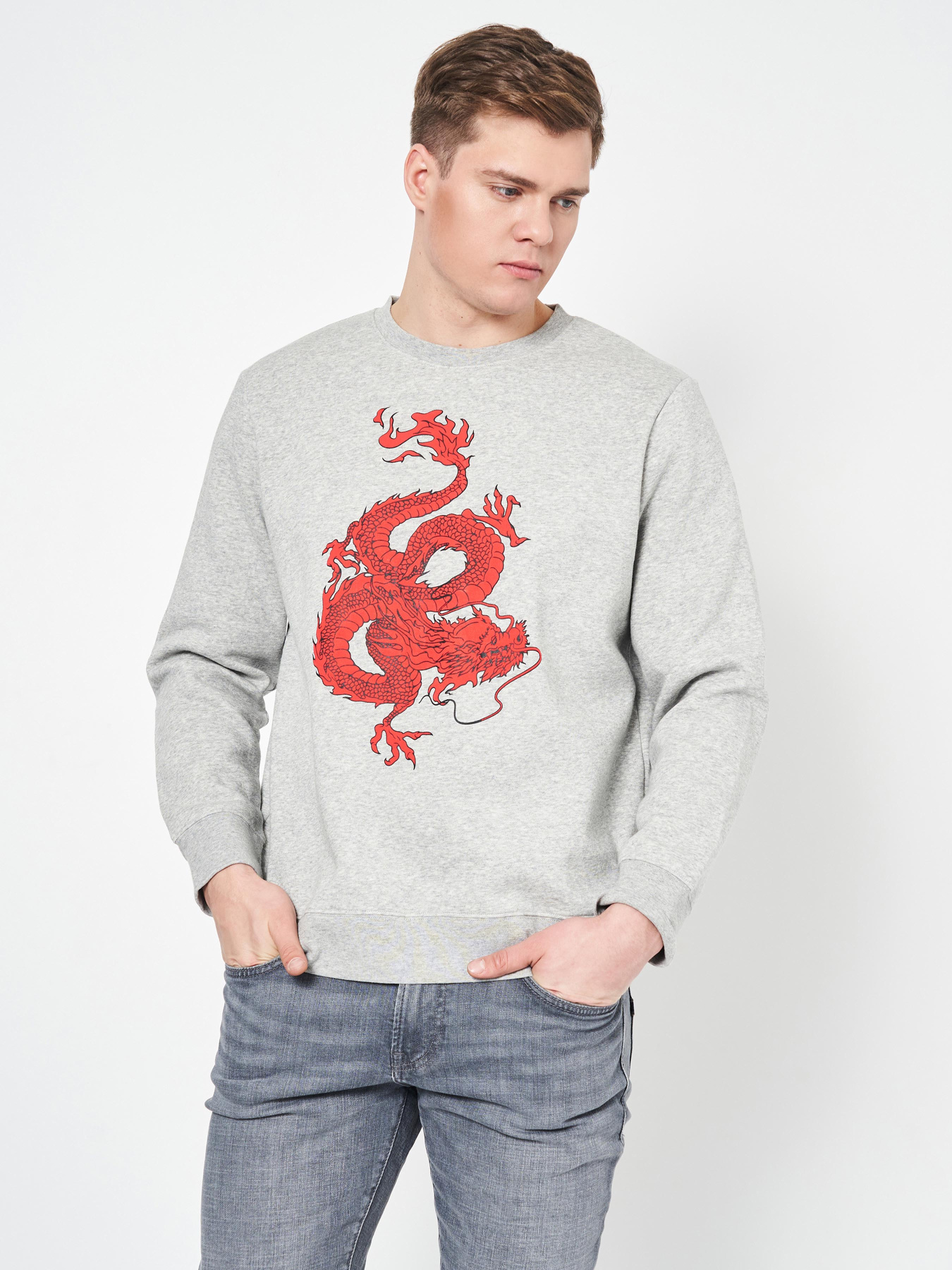 Свитшот H&M модель 7152739dlog_Серый Фото