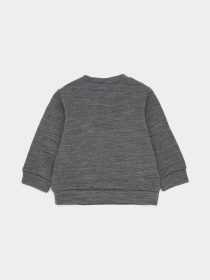 Світшот H&M модель 6010247arl_Серый Світшот H&M модель 6010247arl_Серый Фото