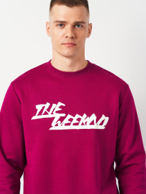 Світшот H&M модель 5849536ral_Пурпурный Фото