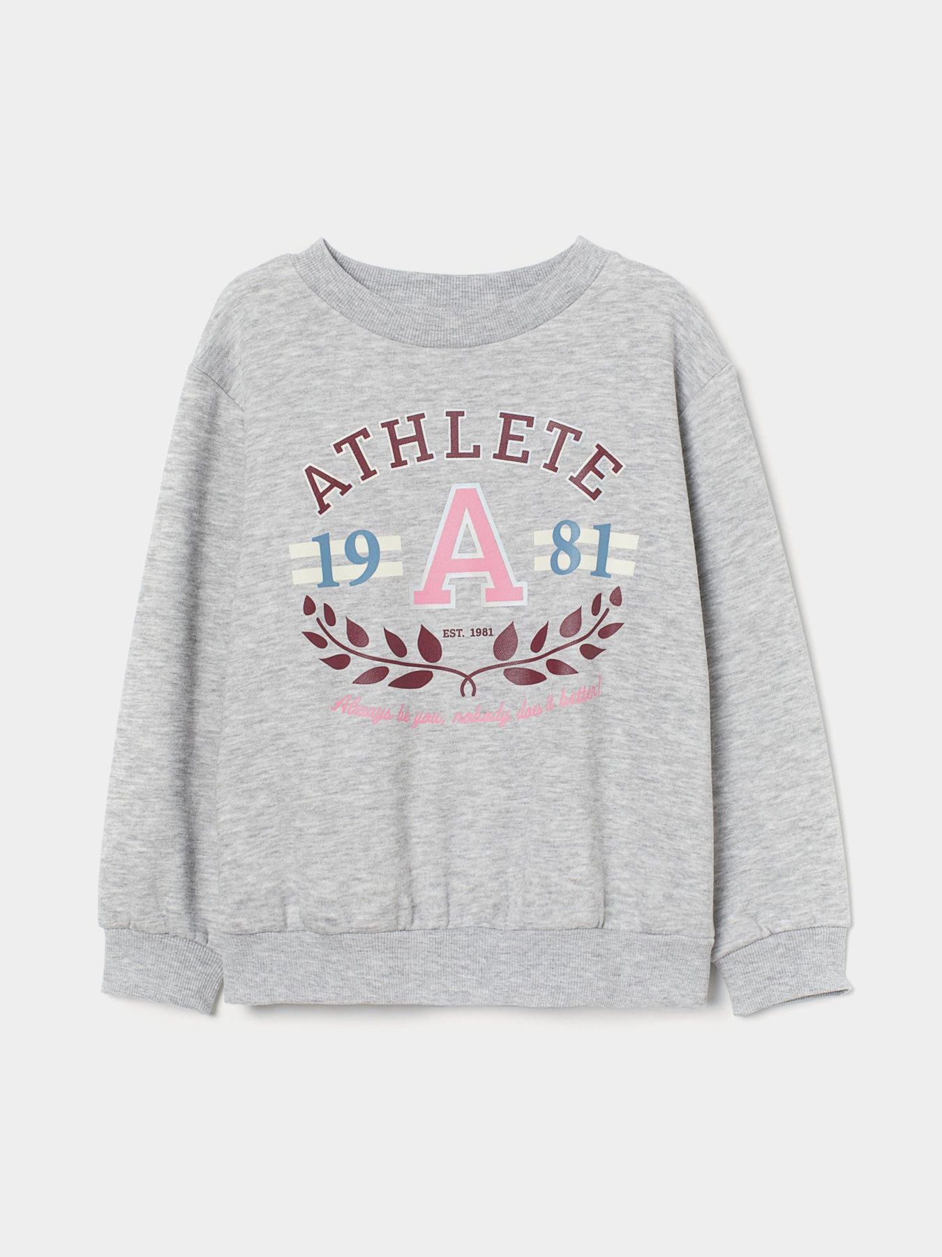 Світшот H&M модель 8705182ral_Светло-серый Фото