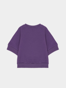 Світшот H&M модель 1088057arl_Фиолетовый Фото