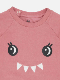 Світшот H&M модель 10002774kwer_Розовый Фото