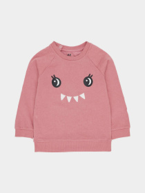 Свитшот H&M модель 10002774kwer_Розовый Свитшот H&M модель 10002774kwer_Розовый Фото