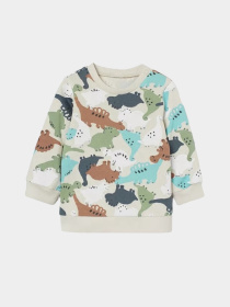 Світшот H&M модель 1412103kwer_Комбинированный Фото