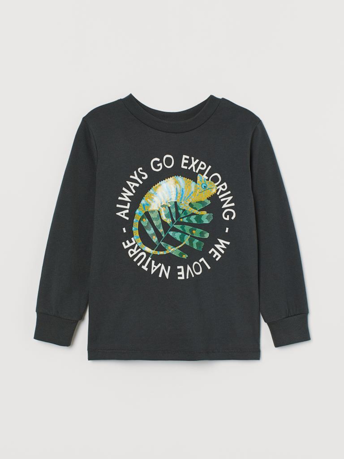 Свитшот H&M модель 9536543kwer_Темно-серый Фото