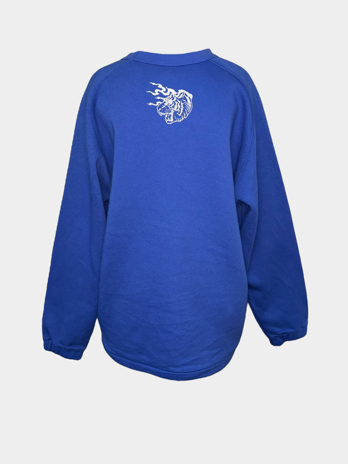 Світшот H&M модель 1051486wer_Синий Фото