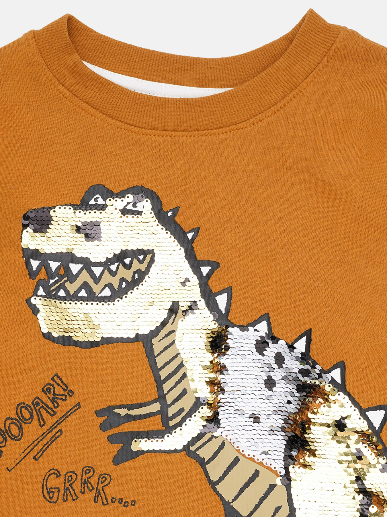 Свитшот H&M модель 9710834ral_Коричневый Фото