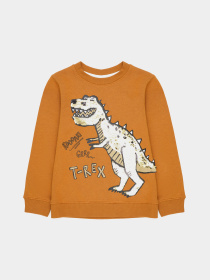 Свитшот H&M модель 9710834ral_Коричневый Фото