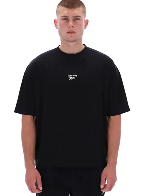 Футболки и поло Reebok MELVIN MOUNTAIN SS TEE модель 102247891 Фото