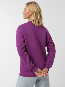 Свитшот Daria Karpiuk модель SWF089NV19CTPO Фото