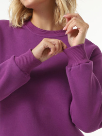 Свитшот Daria Karpiuk модель SWF089NV19CTPO Фото