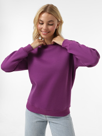 Свитшот Daria Karpiuk модель SWF089NV19CTPO Фото