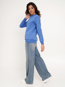 Свитшот Daria Karpiuk модель SWF1072NV25CTPO Фото