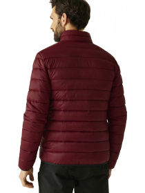 Зимняя куртка Regatta Marizion модель RMN246-ZRS Фото