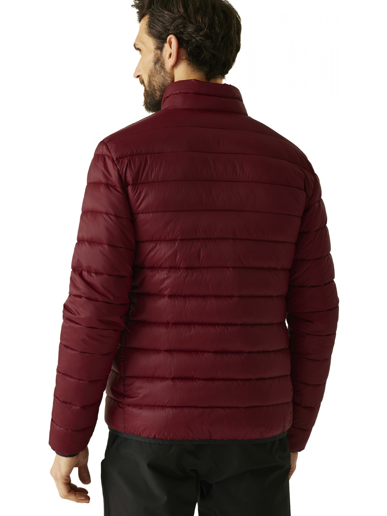 Зимняя куртка Regatta Marizion модель RMN246-ZRS Фото