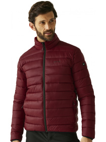 Зимняя куртка Regatta Marizion модель RMN246-ZRS Фото