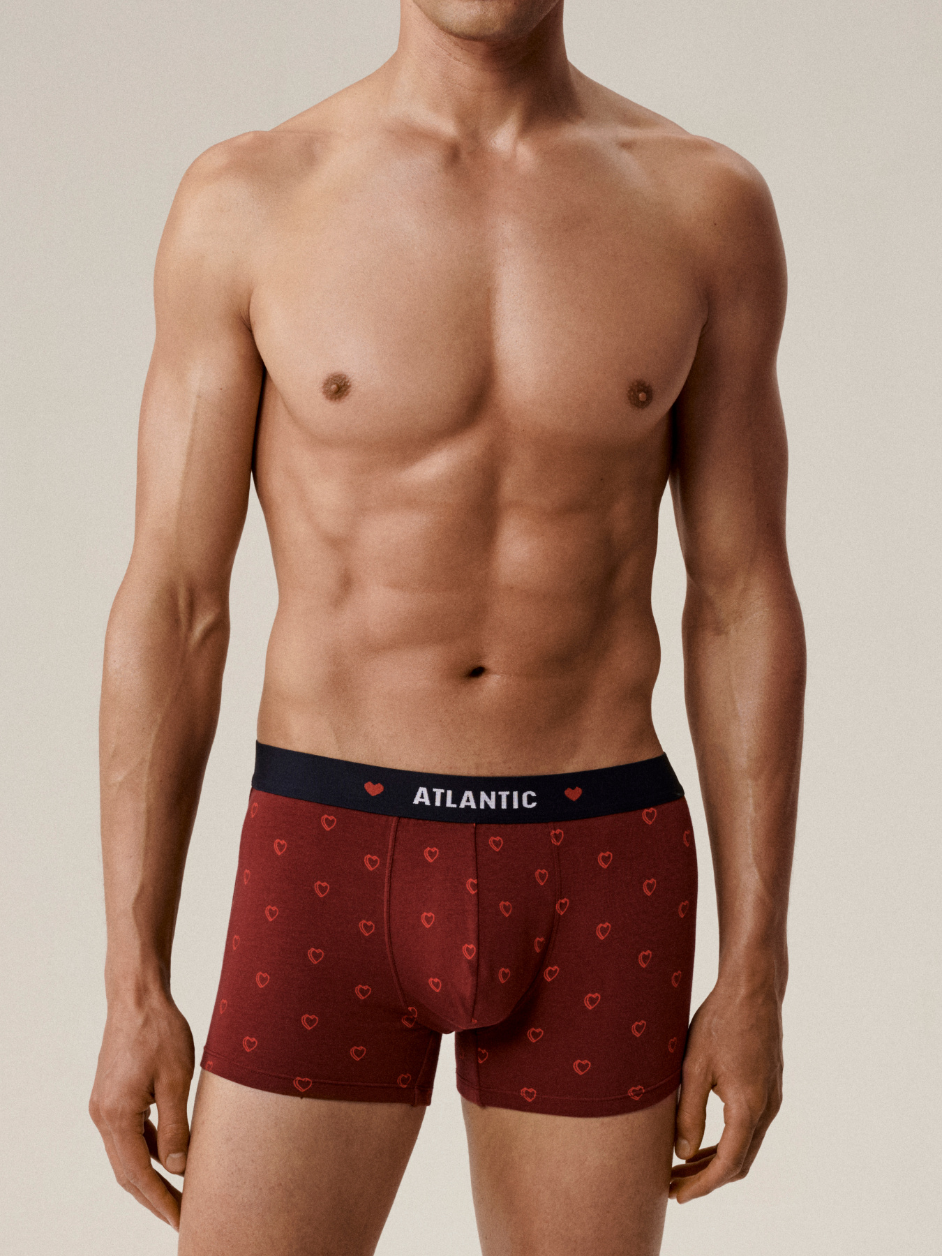 Набір трусів Atlantic модель 2GMH-029 Фото