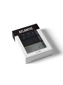 Набір трусів Atlantic модель 3MH-224 Фото