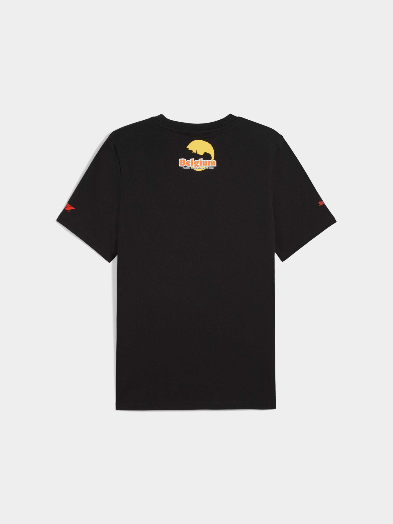 Футболка PUMA F1 Belgium Tee модель 630230 Фото
