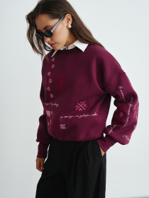 Свитшот RicaMare модель RM4288-8-25DC Свитшот RicaMare модель RM4288-8-25DC Фото