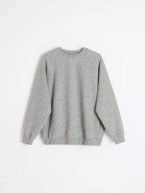 Свитшот DIVERSE Cltn Rechor модель 10048289 Фото