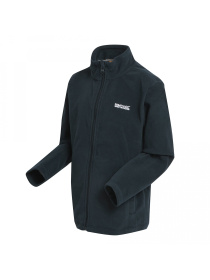 Флисовая кофта Regatta Kingii модель RKA147-826 Фото