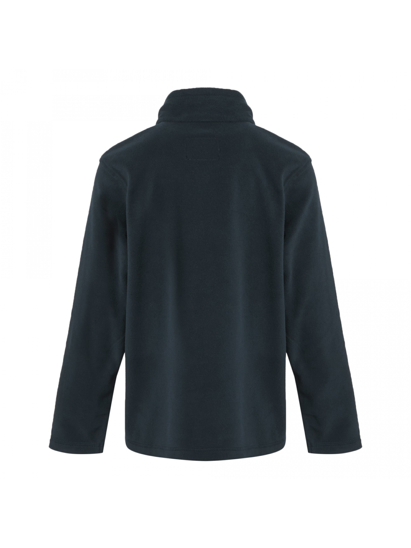 Флісова кофта Regatta Kingii модель RKA147-826 Флісова кофта Regatta Kingii модель RKA147-826 Фото