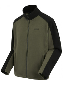 Флисовая кофта Regatta Hedmanii модель RMA192-ZYI Фото