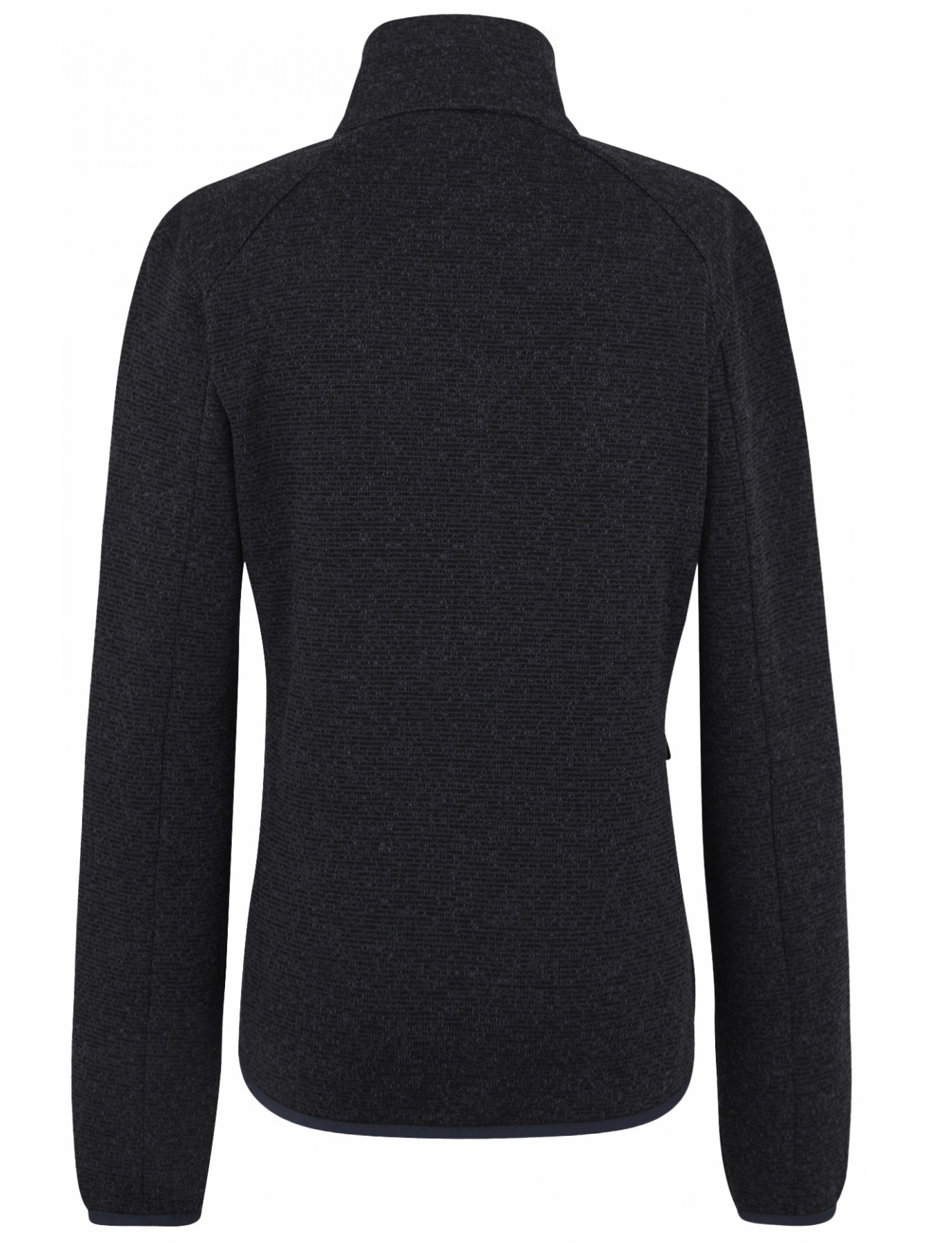 Флисовая кофта Regatta Women'snewhill модель RWA753-540 Фото