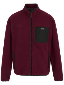 Флисовая кофта Regatta Frankief/zfleece модель RMA595-ZRS Фото