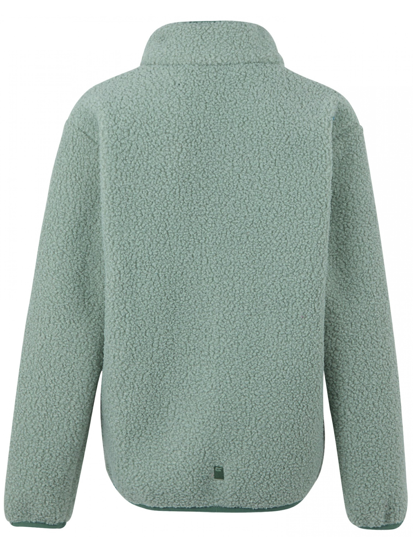 Флисовая кофта Regatta Jrfrnkiewmfle модель RKA473-ZYF Фото