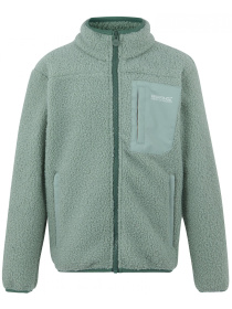 Флісова кофта Regatta Jrfrnkiewmfle модель RKA473-ZYF Фото